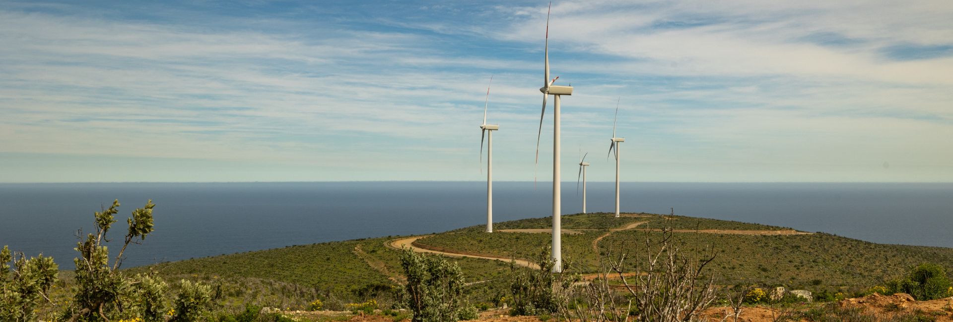 Parque Eólico Totoral